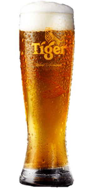 Tiger Biergläser - 6 x 30cl