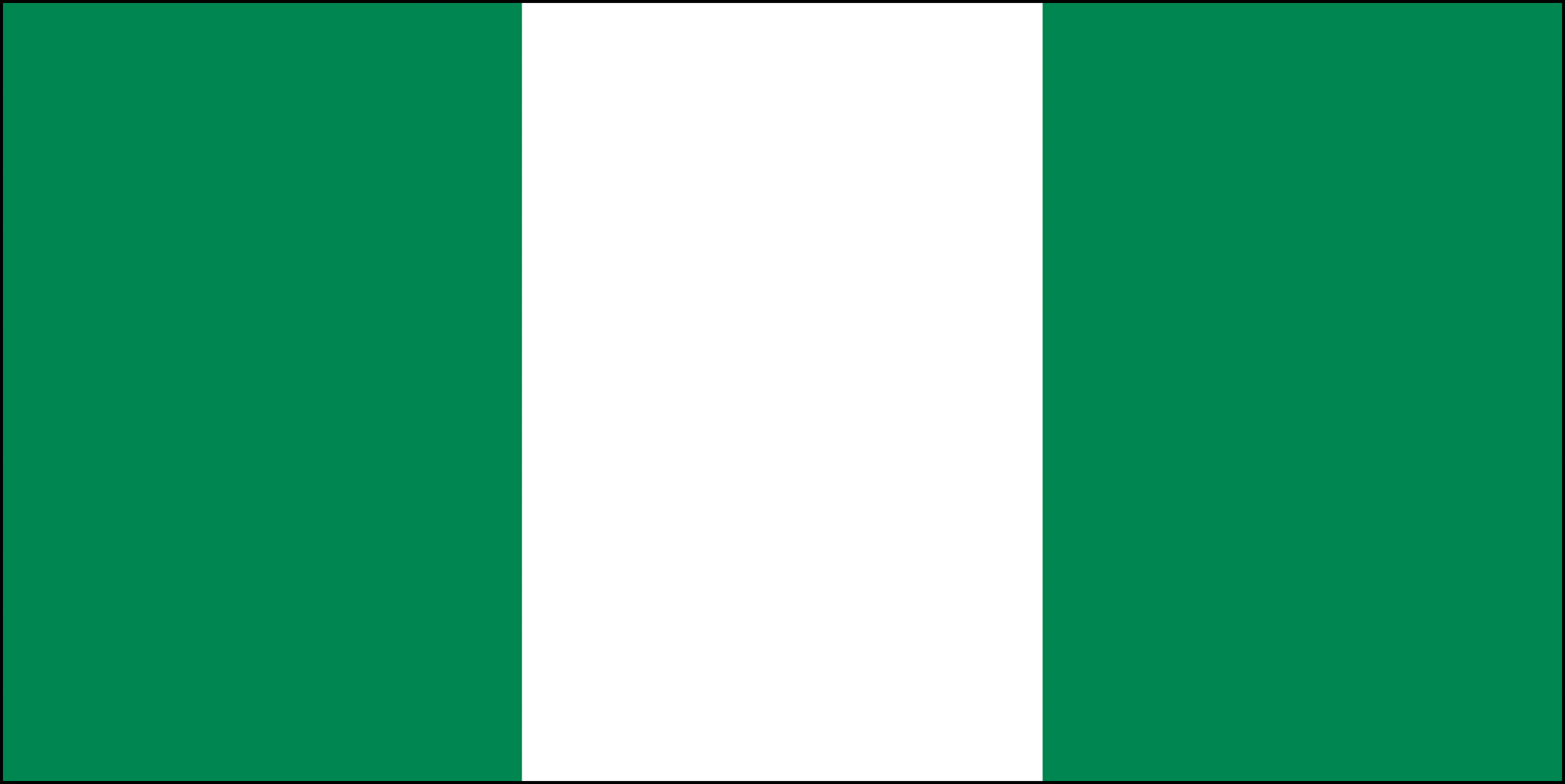 Gulder Premium Lager 5,2% - 24 x 60 cl