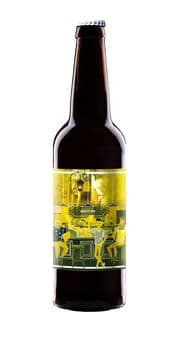 Maryensztadt Hoptime White IPA 6,5% Vol. 24 x 33 cl Polen