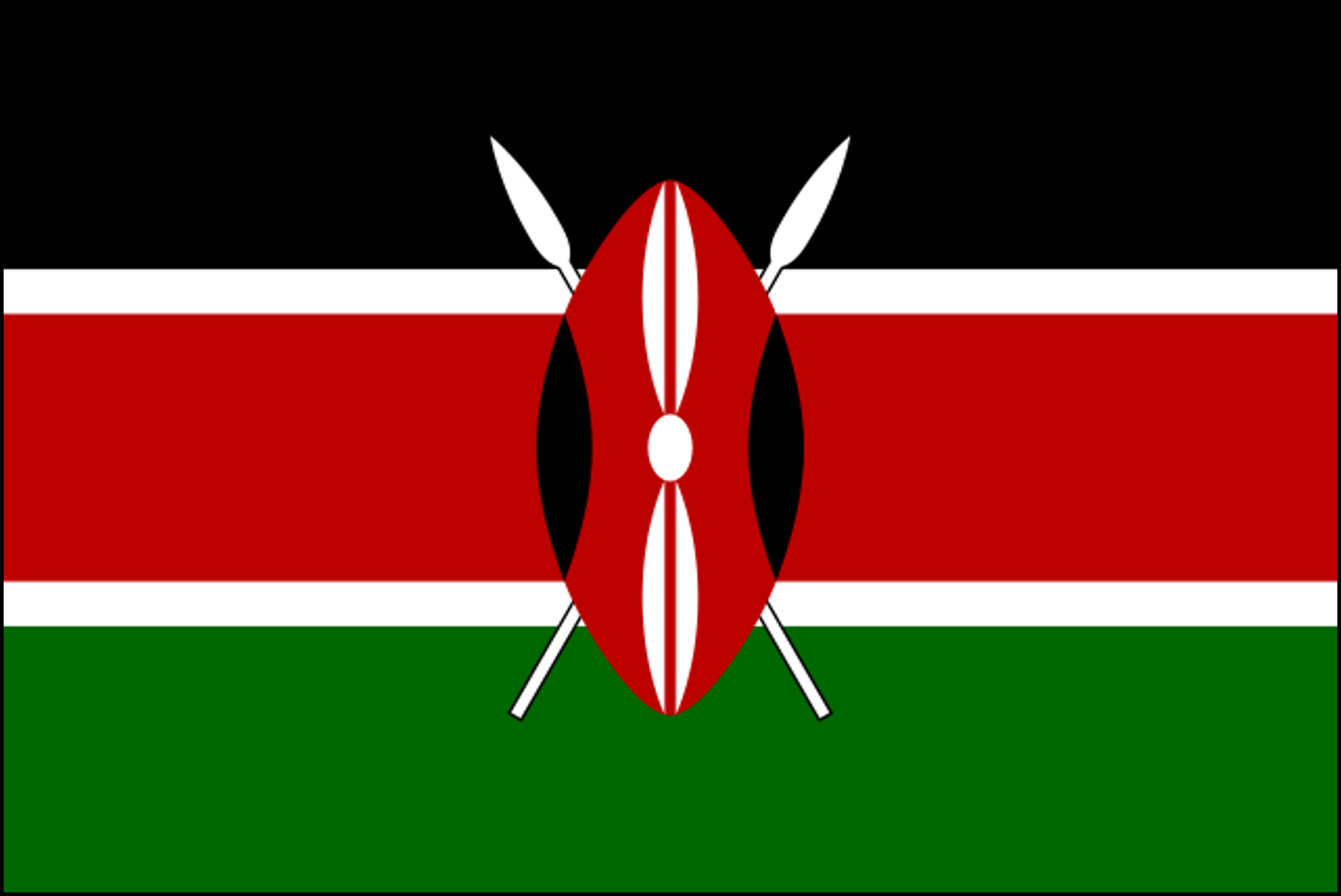 Tusker Lager 4.2% Vol. 12 x 50 cl Kenia