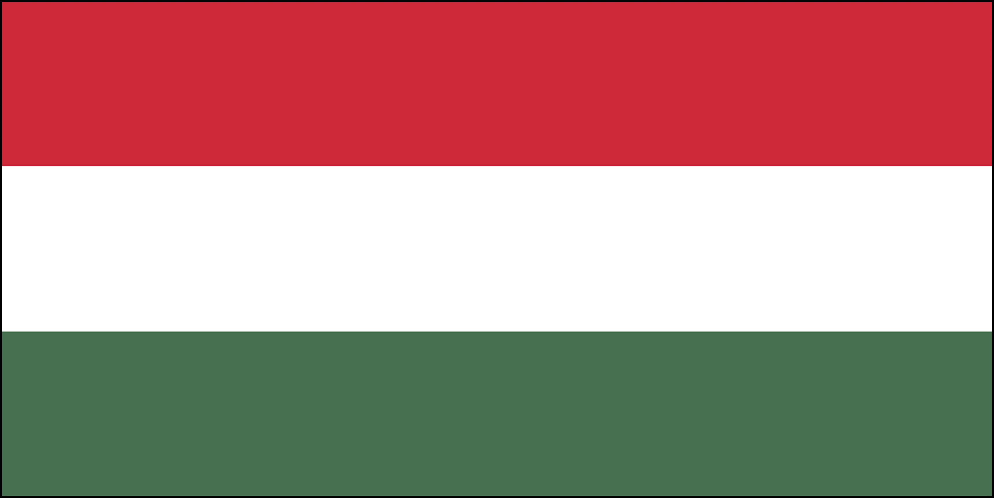 Hop Top Lager Dark 5% - 12 x 33 cl Dose